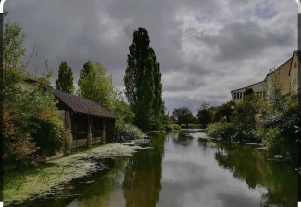 Appartement Rez De Jardin La Chartre-sur-le-Loir ภายนอก รูปภาพ